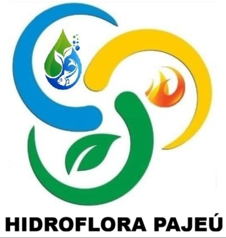 Arte do parceiro Hidroflora Pajeú